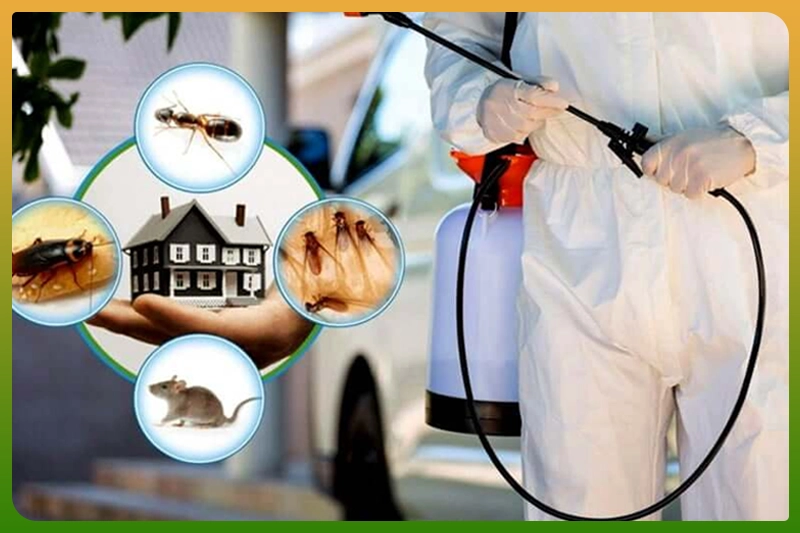 General Pest Management Service